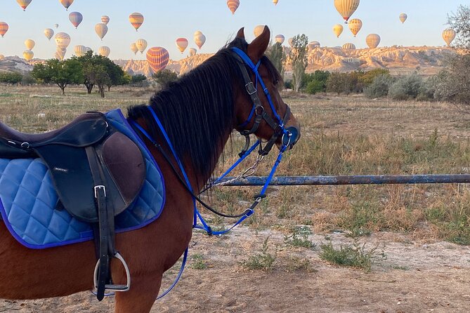 Cappadocia Horseback Ride through Valleys — Sunset/hoteltransfer - Back at the Ranch in Cavusin, Saying Bye to Your Horse