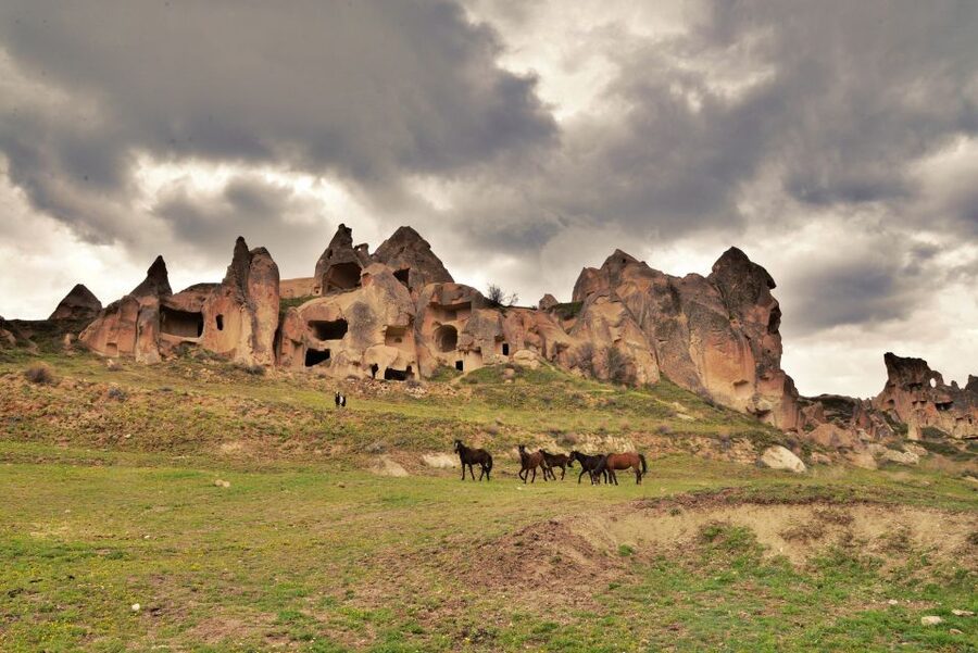 Cappadocia: Private Cappadocia Tour with Lunch - Devrent Imagination Valley, rocks that look like animals