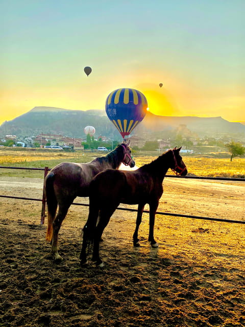 Cappadocia's Sunrise Horseback Riding - Key things to know before you go