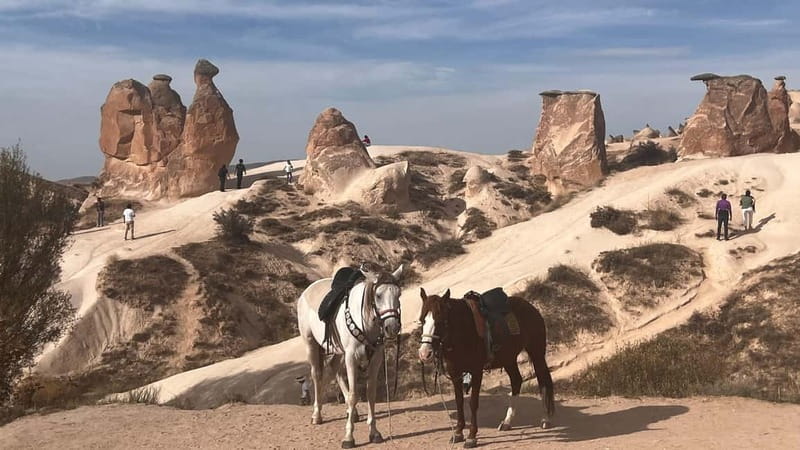 Cappadocia: Small-Group North Tour - Paşabağ, Also Known as Monk’s Valley, for the Fairy Chimneys