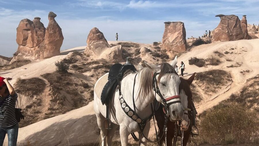 Cappadocia: Small-Group North Tour - Göreme Open-Air Museum: Rock-Cut Churches with Byzantine Frescoes
