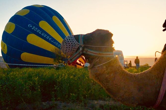 Cappadocia Sunrise Camel Safari - Cappadocia Sunrise Camel Safari in Plain Terms: Early Start, Big Payoff