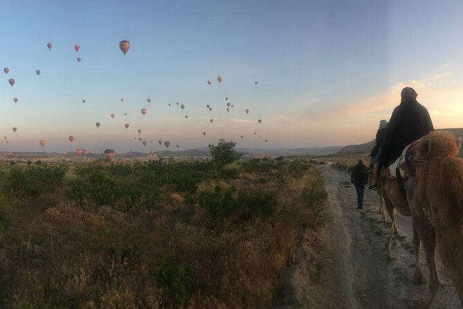 Cappadocia Sunrise Camel Safari - Price and Value Check: Is $90.36 Worth It?