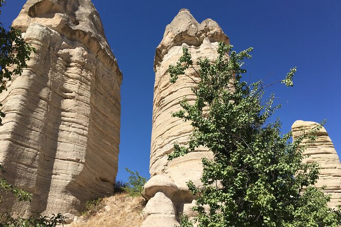 Cappadocia Wine Tasting Experience - Who should book this Cappadocia wine tasting?