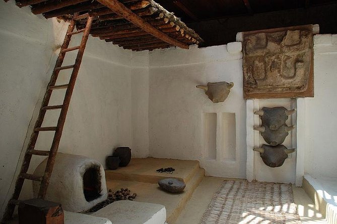 Catalhuyuk Archeological Site Tour - Key highlights to look for