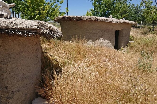 Catalhuyuk Archeological Site Tour - Getting even older with Boncuklu Höyük (about 10 km away)