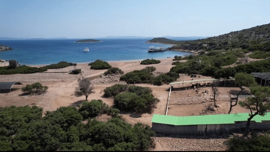 Cesme: Islands and Bays Boat Trip with BBQ Lunch - BBQ lunch on board: good fuel, served right where you are sitting