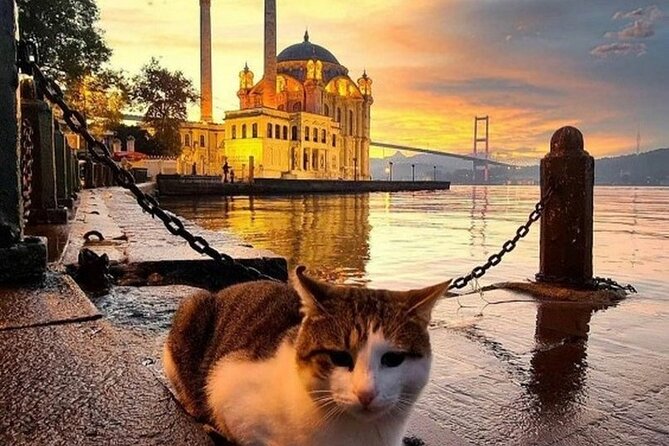 Circle Istanbul (Extraordinary Istanbul) - Karaköy Walk: Hip Cafes, Bars, and Side Streets