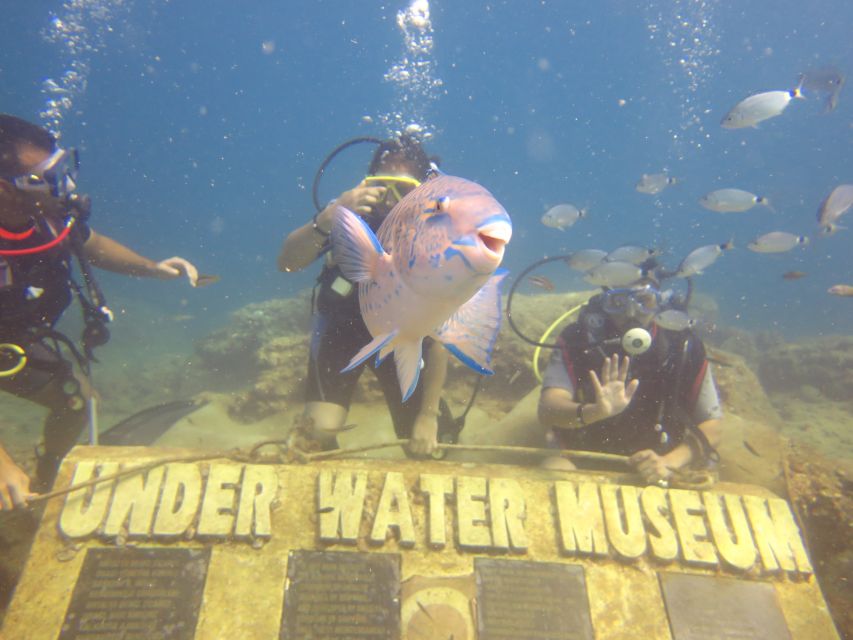 City of Side: Scuba Diving with Lunch - Price and Value: Is $42 a Good Deal?