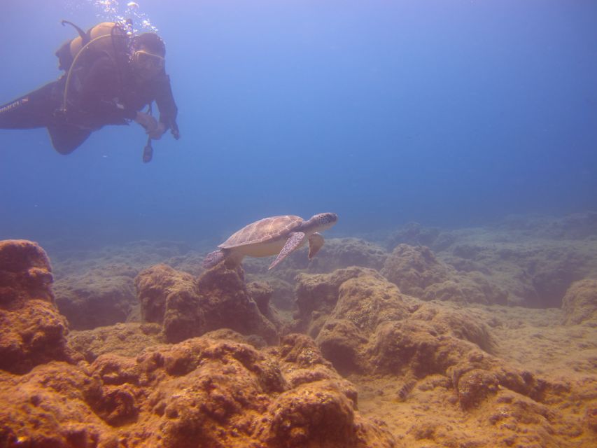 City of Side: Underwater Museum Scuba Diving Visit - Practical Tips: What to Bring and What Not to Bring