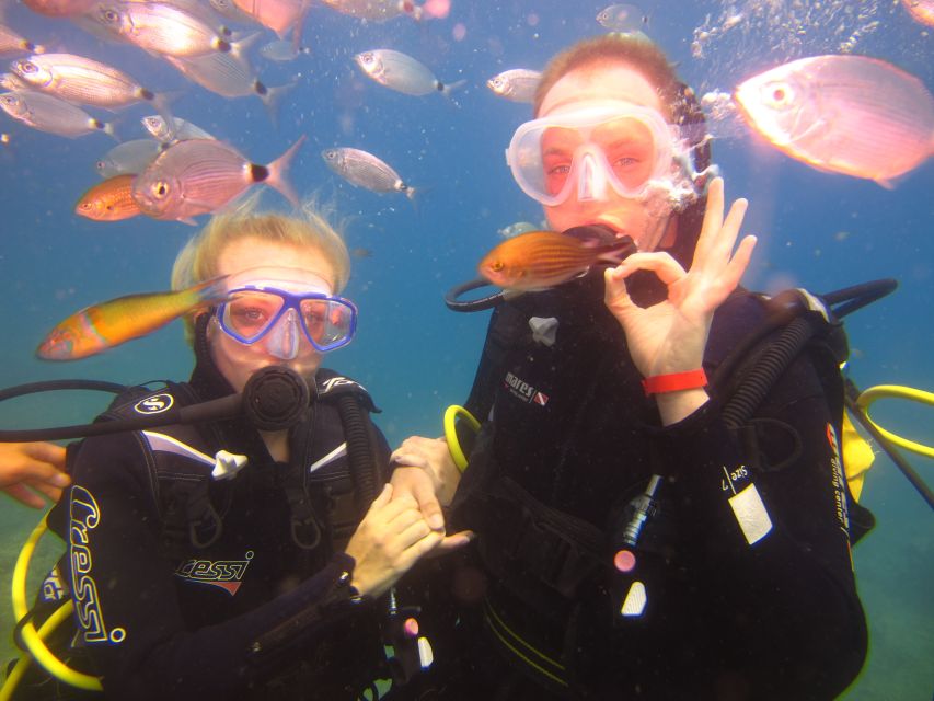 City of Side: Underwater Museum Scuba Diving Visit - In The Water: Sculptures, Plants, and Sea Life at 5 to 6 Meters