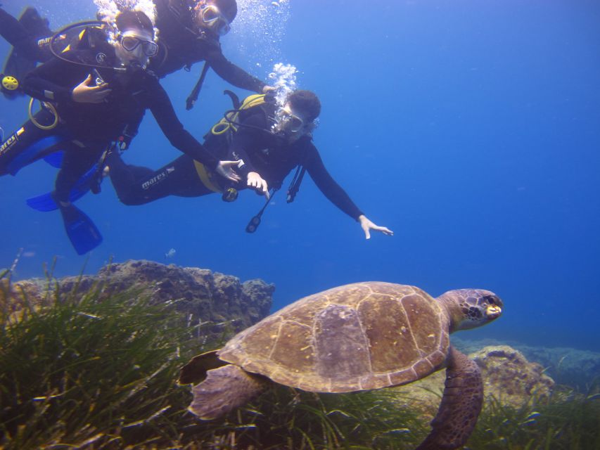 City of Side: Underwater Museum Scuba Diving Visit - Organization and Comfort: The Parts You Can Prepare For