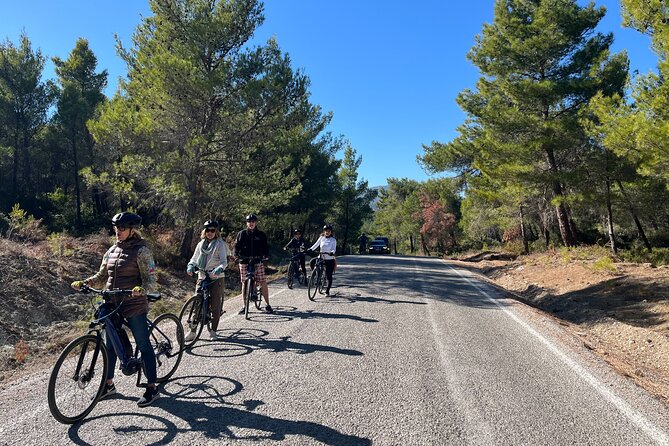 Cycling Through Vineyards & Farm Lunch & Ephesus visit - The Real Value: Price, What You Get, and What You Pay Extra