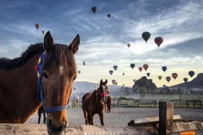 Daily Cappadocia Red and Underground Tour