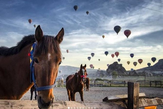 Daily Cappadocia Red and Underground Tour - Underground time at Özkonak Underground City