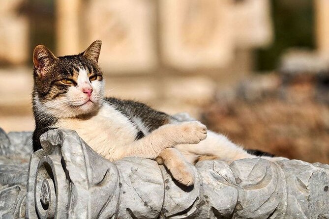 Daily Ephesus & Virgin Mary House Tour from Izmir - Meryemana (Virgin Mary House): Quiet Sacredness and the Wishing Wall