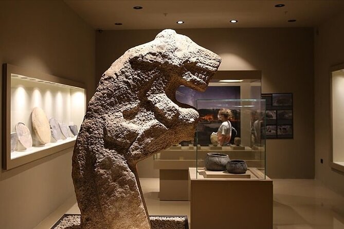 Daily Gobeklitepe Private Tour - Stop 1: Göbeklitepe and what your guide will help you notice