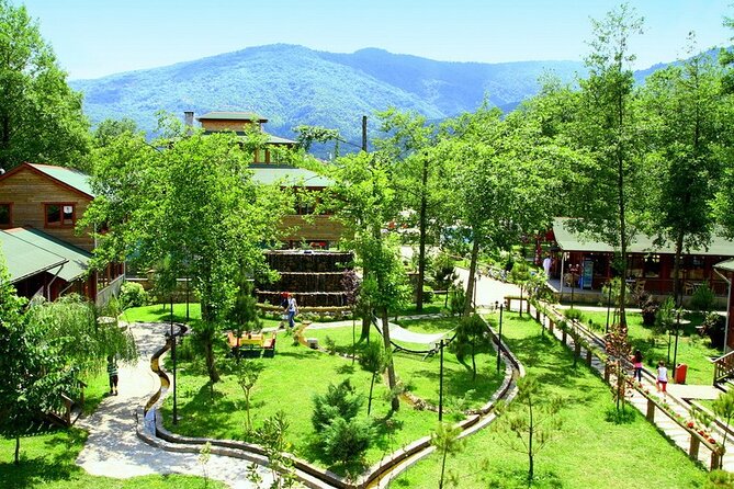 Daily Sapanca & Maşukiye & Mahmudiye Tour with Lunch from Istanbul - A quick nature break from Istanbul: why this route works