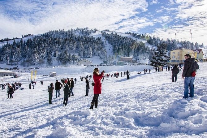 Daily Sapanca & Maşukiye & Mahmudiye Tour with Lunch from Istanbul - Faruk Yalçın Zoo, cable car, and optional attractions with extra costs