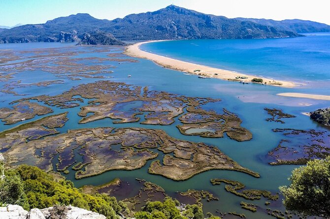 Dalyan Day Trip with Mud Bath and Turtle Beach From Fethiye - Denizkızı Restaurant lunch: included, plan your drinks