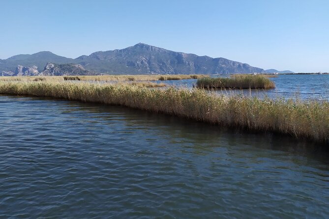Dalyan Mud Bath and Turtle Beach from Sarigerme - Lunch near the Dalyan Tombs, included but not fancy