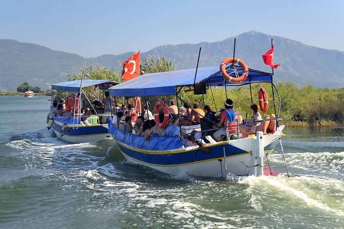 Dalyan Mud Baths and Turtle Beach Day Tour From Fethiye - Iztuzu Turtle Beach: swimming at a loggerhead-protected shore