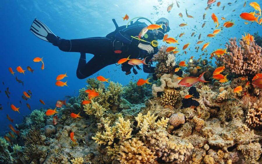 Diving Tour from Alanya & Side with Lunch - 2 Dives Included - The briefing and coaching style, especially for nervous or new divers