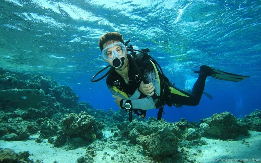Diving Tour from Alanya & Side with Lunch - 2 Dives Included - Price and value check: what the $52 includes and where costs creep in