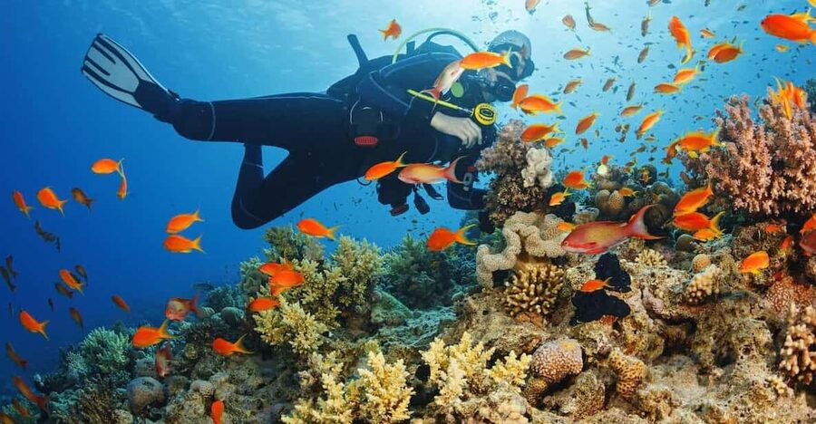 Diving Tour from Alanya & Side with Lunch - 2 Dives Included - What to bring (and what not to), for a smooth day on the water