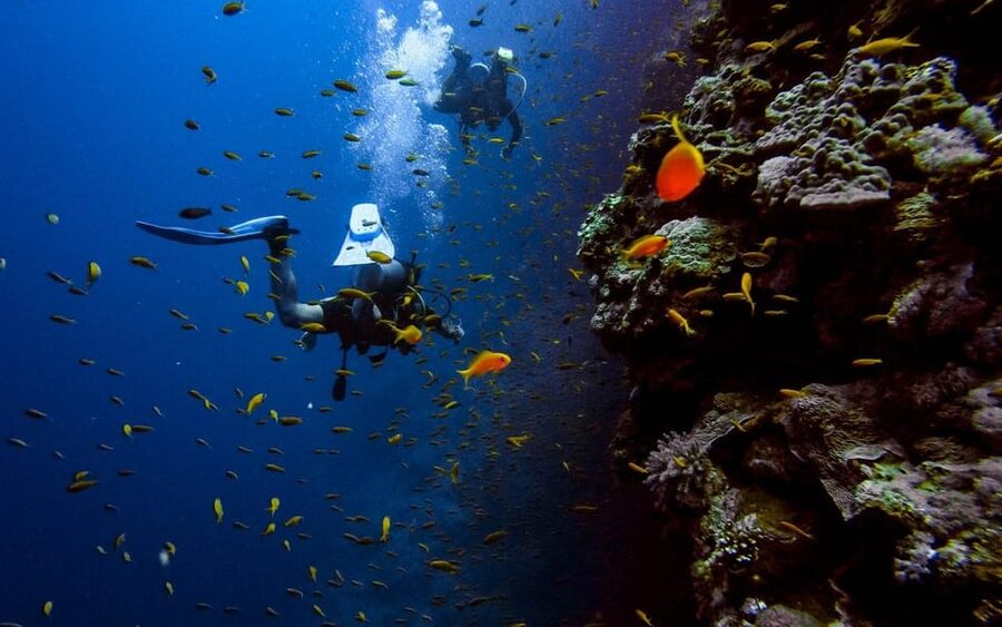 Diving Tour from Alanya & Side with Lunch - 2 Dives Included - No-diver options, and how to join if you do not want the underwater sessions
