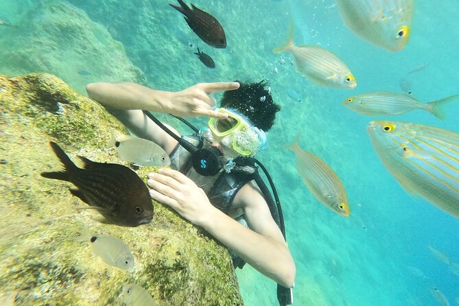 Diving with optional Pick Up - Drop Off from Antalya - Kemer Scuba from the Marina, What You Actually Experience