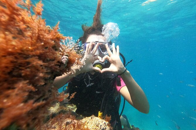 Diving with optional Pick Up - Drop Off from Antalya - Lunch on a Full 8-Hour Day, Plus What Costs Extra