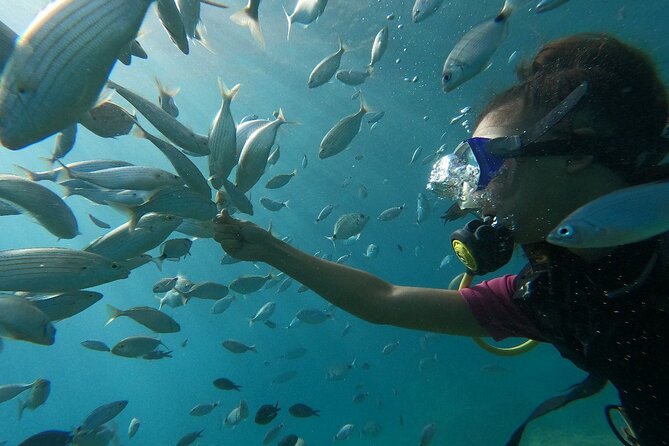 Diving with optional Pick Up - Drop Off from Antalya - Price and Value: Getting Two Scuba Sessions for $20