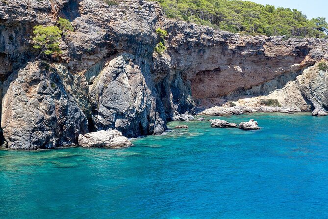 Dolphin Island Boat Trip – Swim, Sun & Lunch Included - Dolphins and Turtles: How to Decide What Matters Most