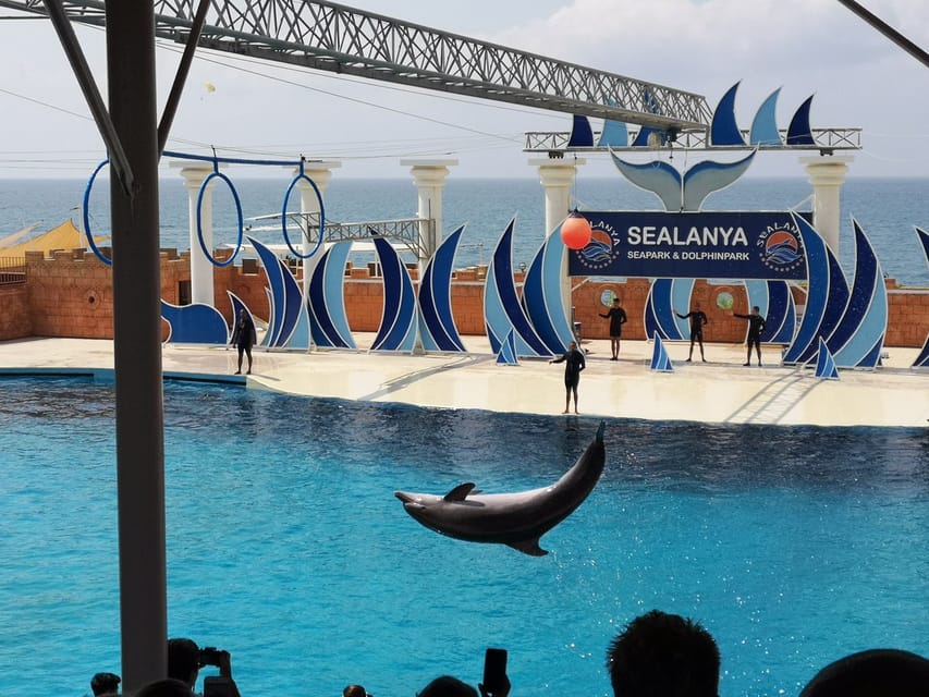 Dolphin Show Free Transfer From Alanya, Side, Kemer,Antalya - Languages and the Show Commentary Factor