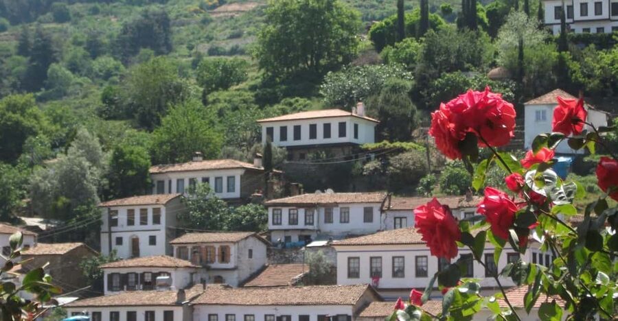 Ephesus and Sirince Tour from Izmir / Kusadasi - Ephesus in 5.5 hours: Celsus, Hadrian, and the Great Theatre