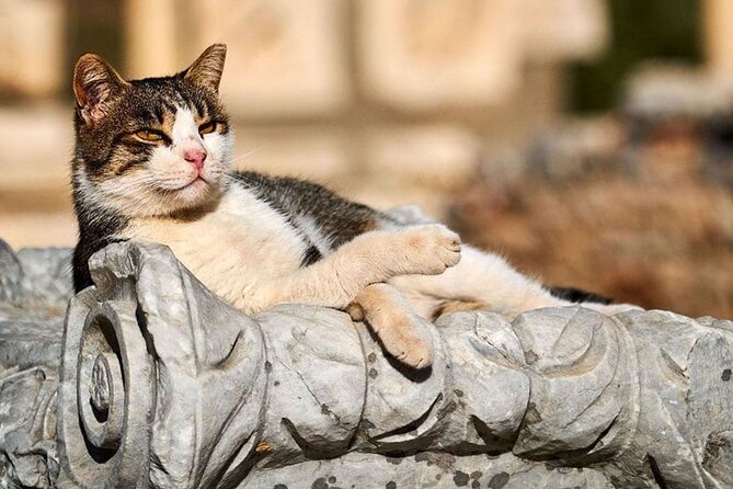 Ephesus and Virgin Mary House Private Tour with Lunch and Pickup - Kusadasi and Selcuk Pickup, Then Straight to the Classics