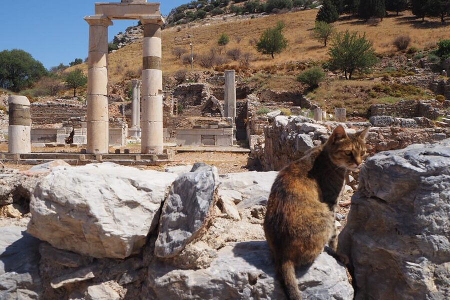 Ephesus: Half-Day Tour from Kusadasi - Great Theatre: 24,000 Seats, Gladiator Noise, and a Religious Connection