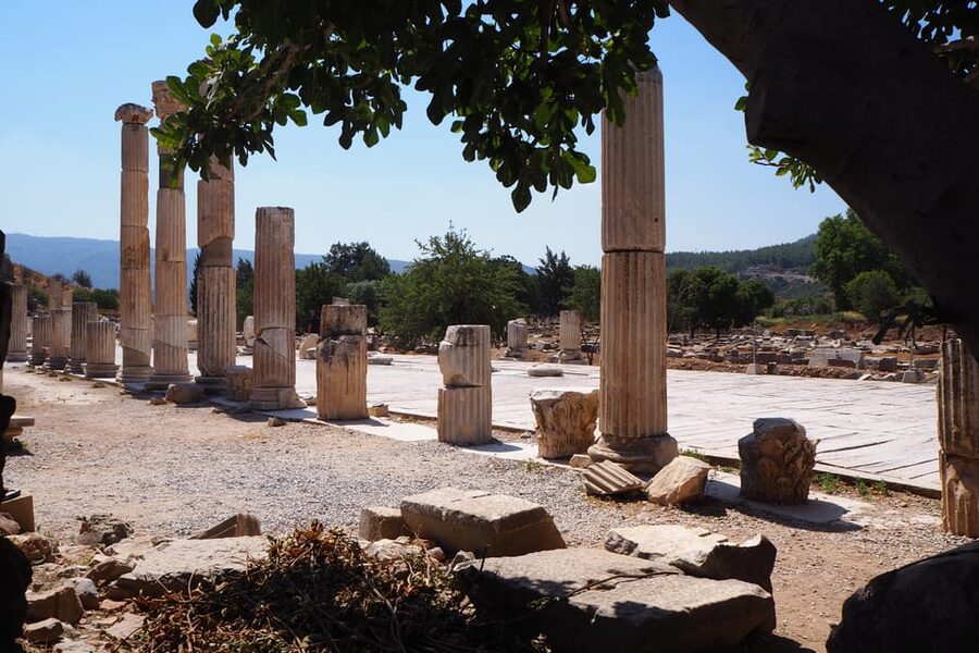 Ephesus: Half-Day Tour from Kusadasi - Ticket, Guide, and Comfort: What This $135 Price Covers