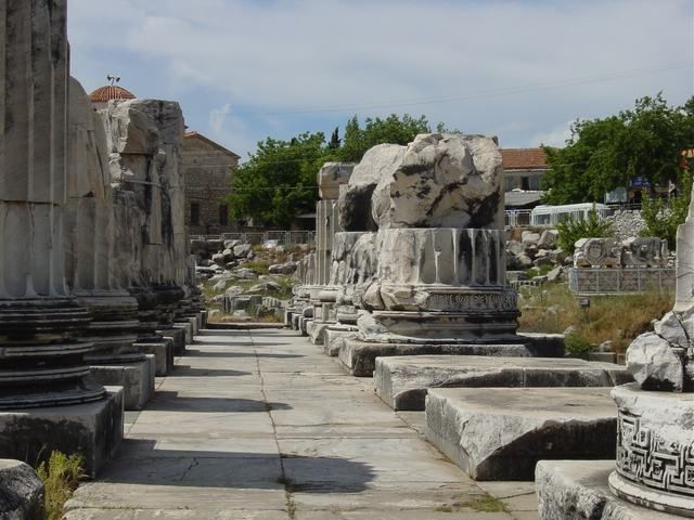 Ephesus, Priene, Miletos and Didyma Tour - Should you book this four-city ancient day?