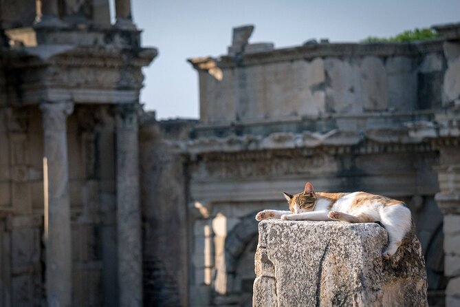 Ephesus: Private Tour with Skip-The-Line & Less Walking - Ephesus Archaeological Museum: What to Expect From the Description