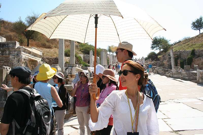 Ephesus: Small Group Tour for Cruise Passengers - Who this tour is perfect for, and who should pick something else