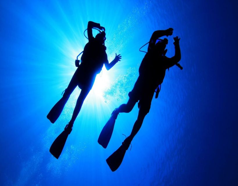 Fethiye: 2 Guided Scuba Dives with Lunch and Hotel Transfers - Getting to the Boat: Hotel Pickup That Actually Works