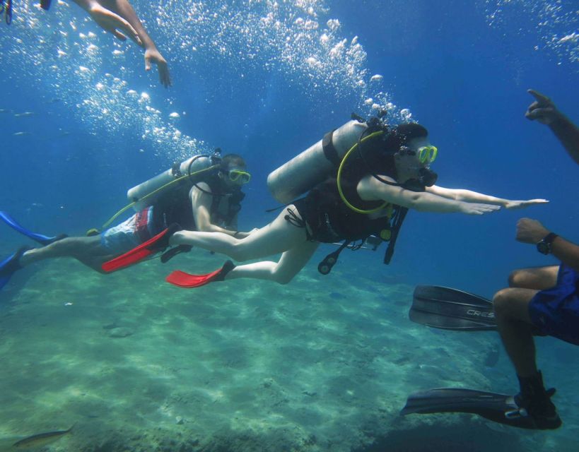 Fethiye: 2 Guided Scuba Dives with Lunch and Hotel Transfers - What You’ll See Off Fethiye: Reefs, Reactions, and Sea Life
