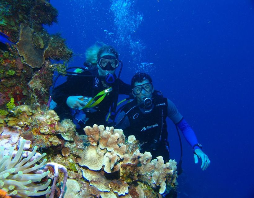 Fethiye: 2 Guided Scuba Dives with Lunch and Hotel Transfers - Price and Value: What $70 Really Includes