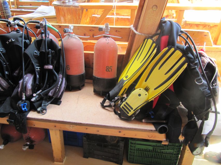 Fethiye: Professional Scuba Diving with Lunch - Key Highlights to Know Before You Go