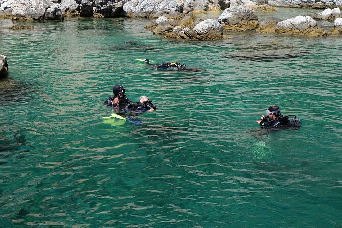 Fethiye Scuba Diving Experience - Why Fethiye’s waters work for first-timers and returners