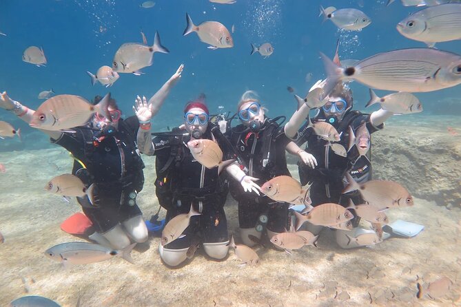 Fethiye Scuba Diving Trip with Mermaid Diving INCL Lunch-Transfer - Dalyan Bay and Tarzan Bay: the reason this day works