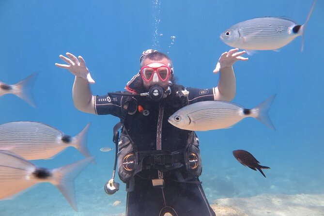 Fethiye Scuba Diving Trip with Mermaid Diving INCL Lunch-Transfer - How the underwater sessions are paced (5 to 8 meters, 20 minutes each)
