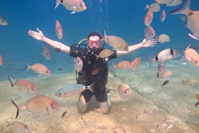 Fethiye Scuba Diving Trip with Mermaid Diving INCL Lunch-Transfer - Dalyan Bay: the first session and the professional camera part